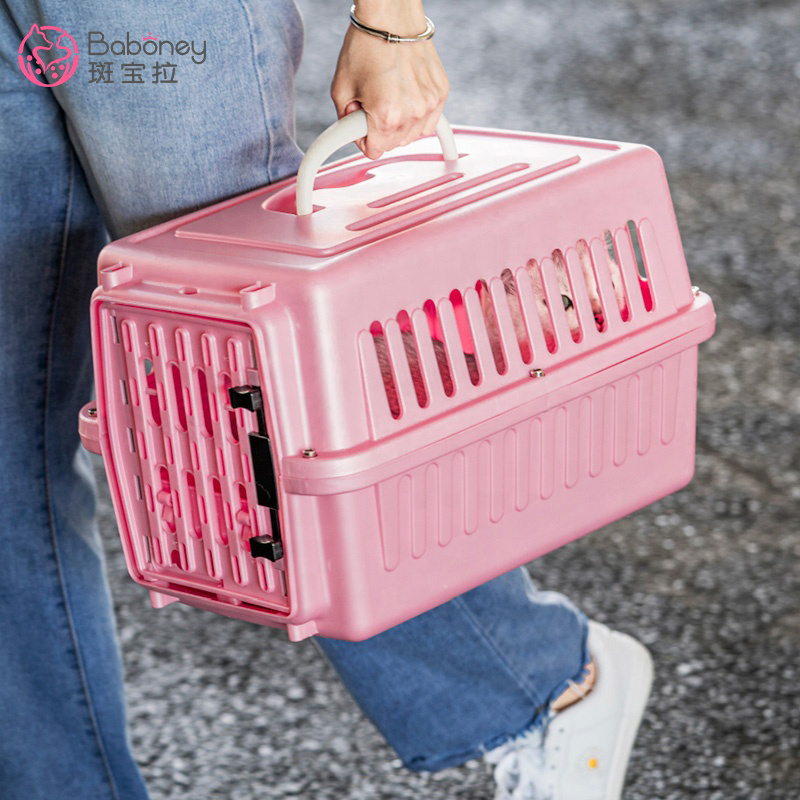 Pet kitten little dog small air consignment box car cage