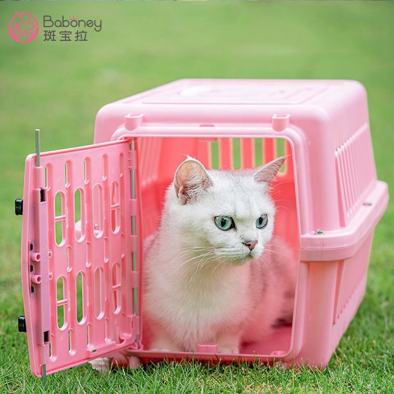 Pet kitten little dog small air consignment box car cage