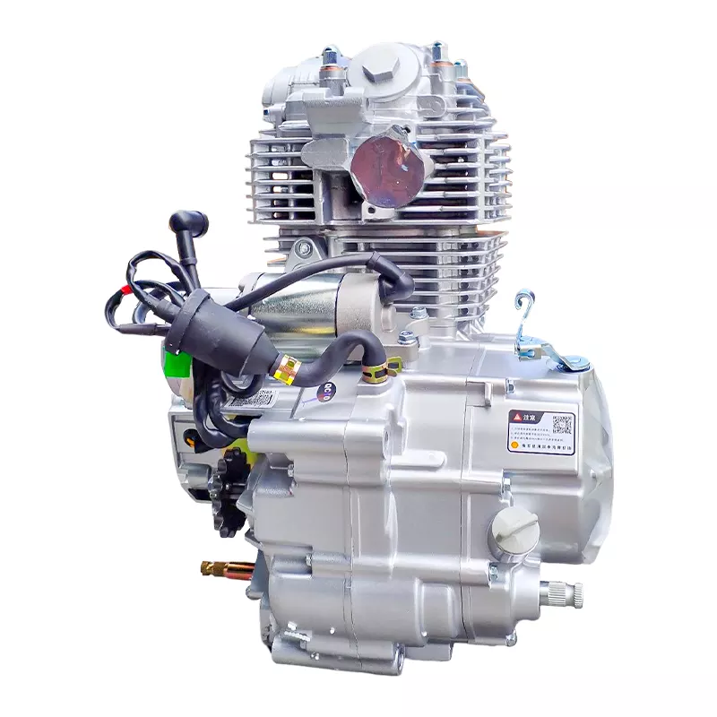 Zongshen 250cc engine Air Cooling 4-Stroke PR250 engine assembly With 6 gearshift for Ktm Off-Road