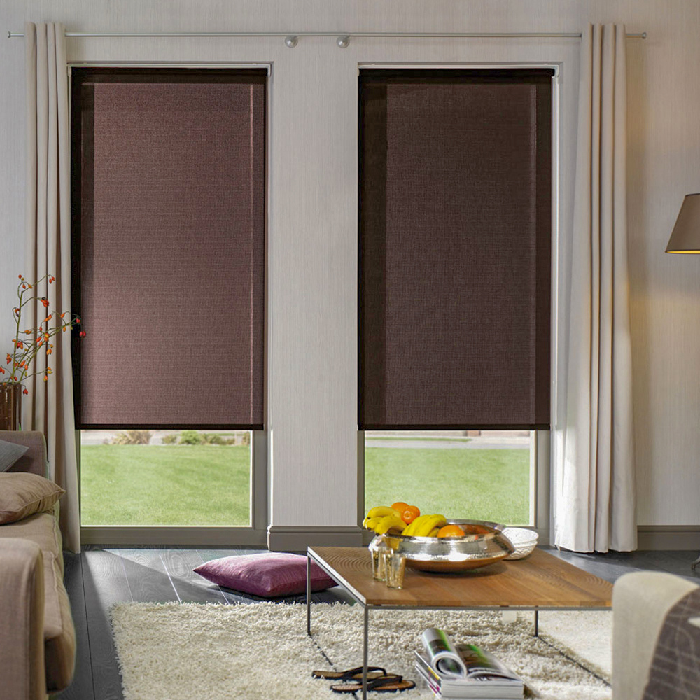 Living Room Kitchen Used Day And Night Smart Window Curtain Shades Custom Luxury Sunscreen Solar Screen Roller Blind