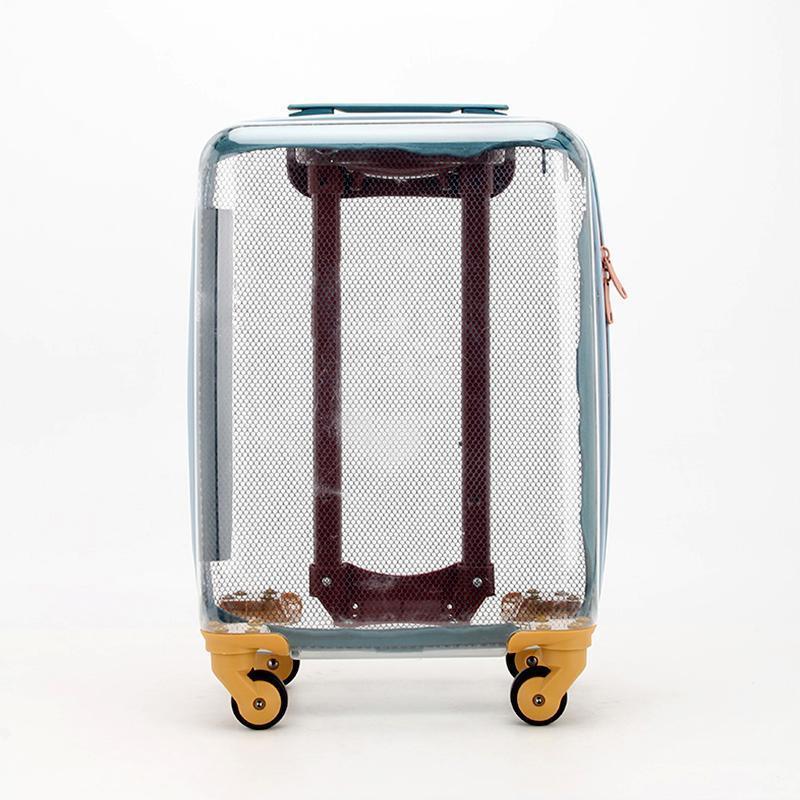 Fashion Design Children Suitcase Novelty Suitcases Blue And Transparent Kid Travel  Suitcase Luggage Set 14