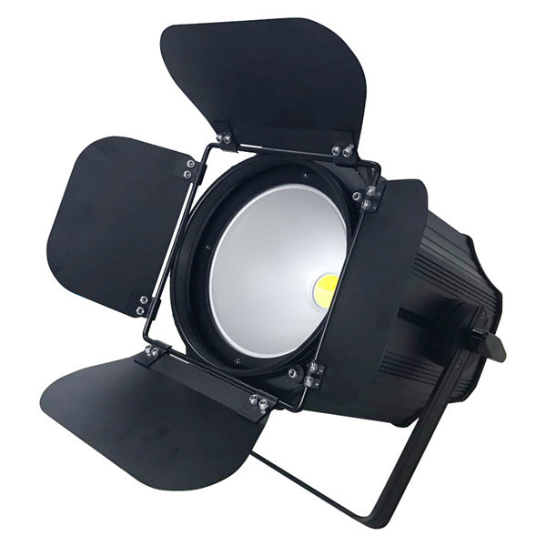 Cheap Price  DJ Lights 100W Warm White COB LED PAR Light