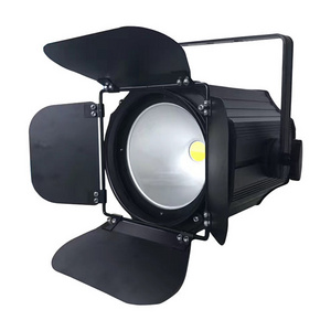 Cheap Price  DJ Lights 100W Warm White COB LED PAR Light