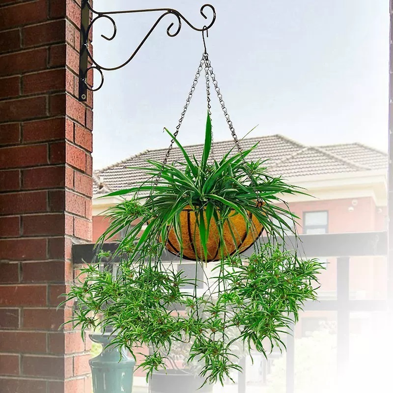 Shelf Corner Indoor Wall Mounted Plants Bracket Wall Rattan Hanging Basket