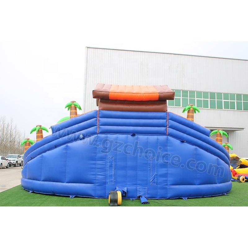 High Quality Amusement Park Inflatable Dolphin Water Slide Inflatable Little Dolphin Slide With Pool For Kids