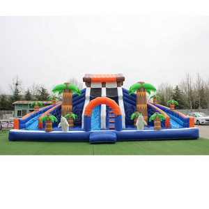 High Quality Amusement Park Inflatable Dolphin Water Slide Inflatable Little Dolphin Slide With Pool For Kids