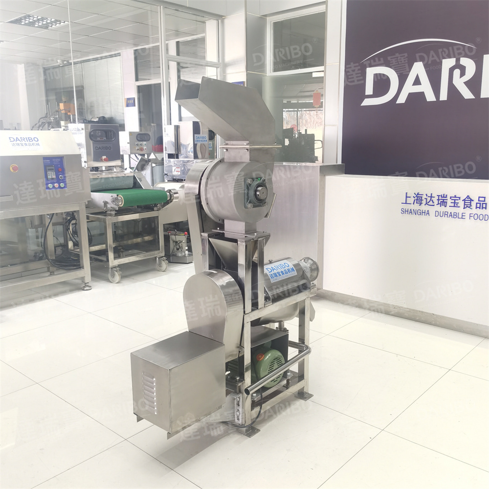 200-500KG/H Commercial Electric Ginger Juicer Extraction  Apple Squeezer Pear Press Equipment