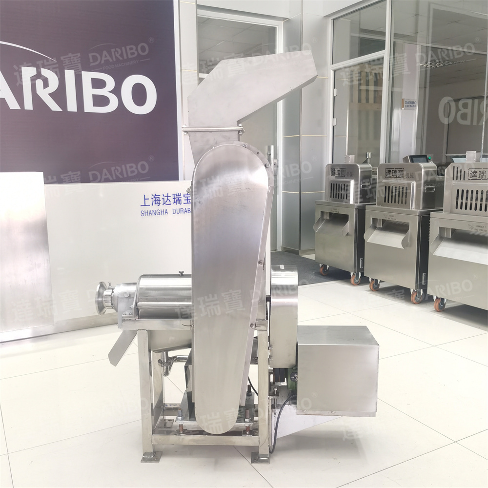 200-500KG/H Commercial Electric Ginger Juicer Extraction  Apple Squeezer Pear Press Equipment