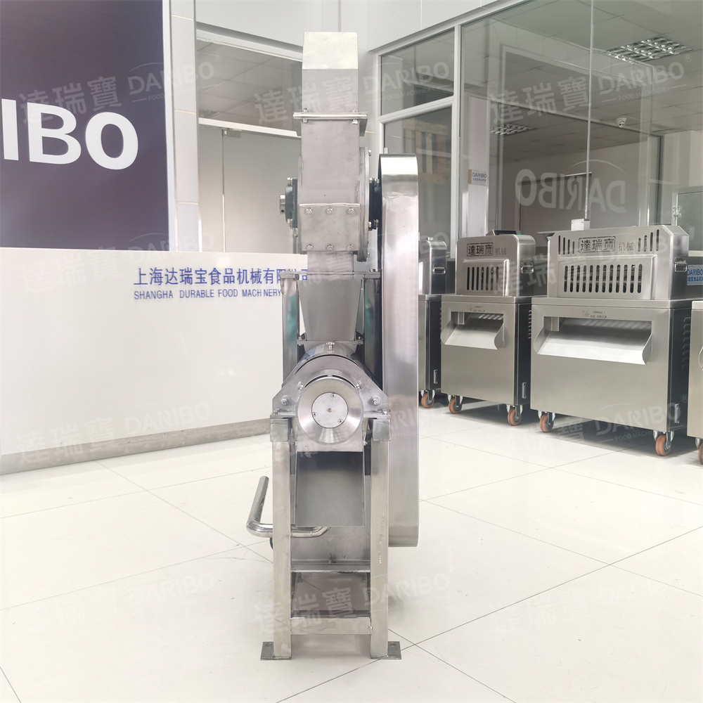 200-500KG/H Commercial Electric Ginger Juicer Extraction  Apple Squeezer Pear Press Equipment