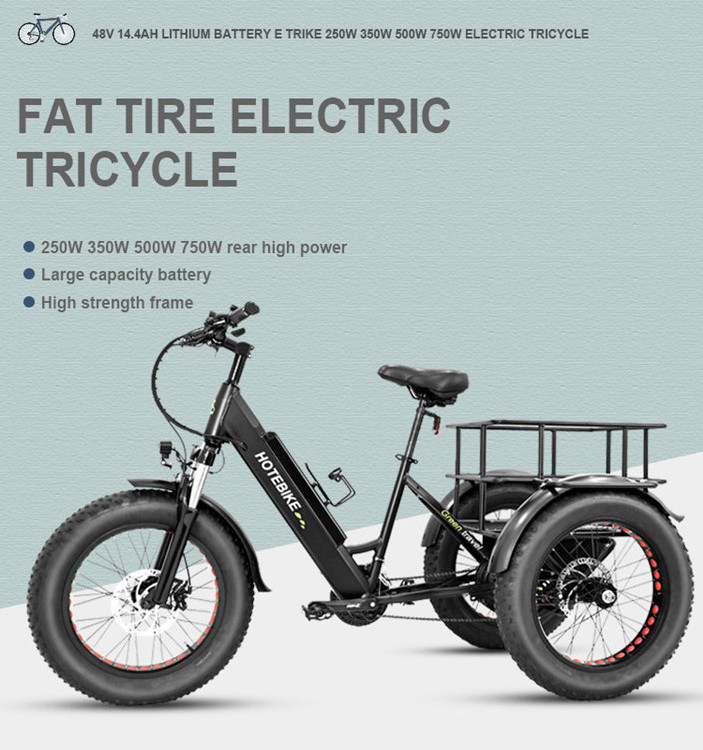 family bakfiets electric cargo bike dutch 1000w  fat tire trike 750w mid drive  non electric bafang/electronic bike