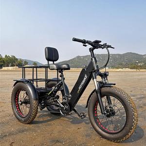 long tail  electric tricycle bike family  1000w dual battery bisicleta electrica fast electric bike/motor bike