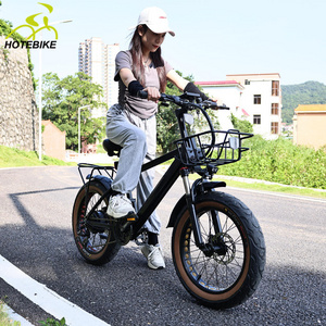 Fat Tire Electric Bike Moped 20 Inch Fat Tire 500W 48V 12AH Aluminum Alloy Frame of Electric Bike Adult electric motocross bike