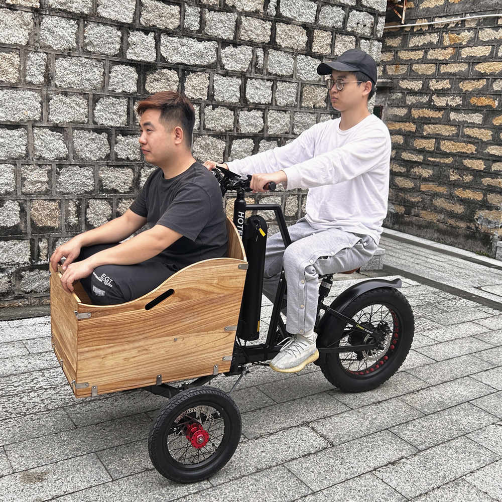 best selling long tail cargo bike electric cargo bike electric bicycle ebike e-cargo three wheeler recumbant/mini electric bike