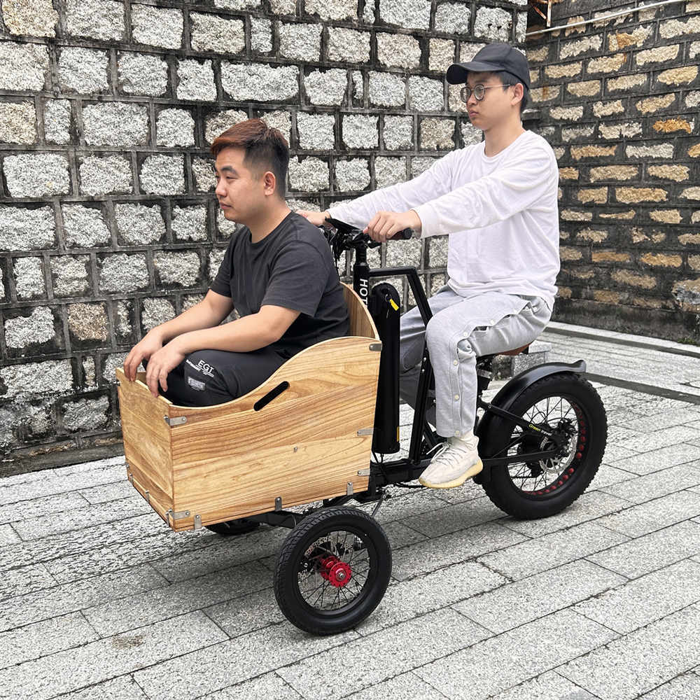 electric quad bike with cargo long range cargo big dog electric cargo bike with 250w/fast electric bike