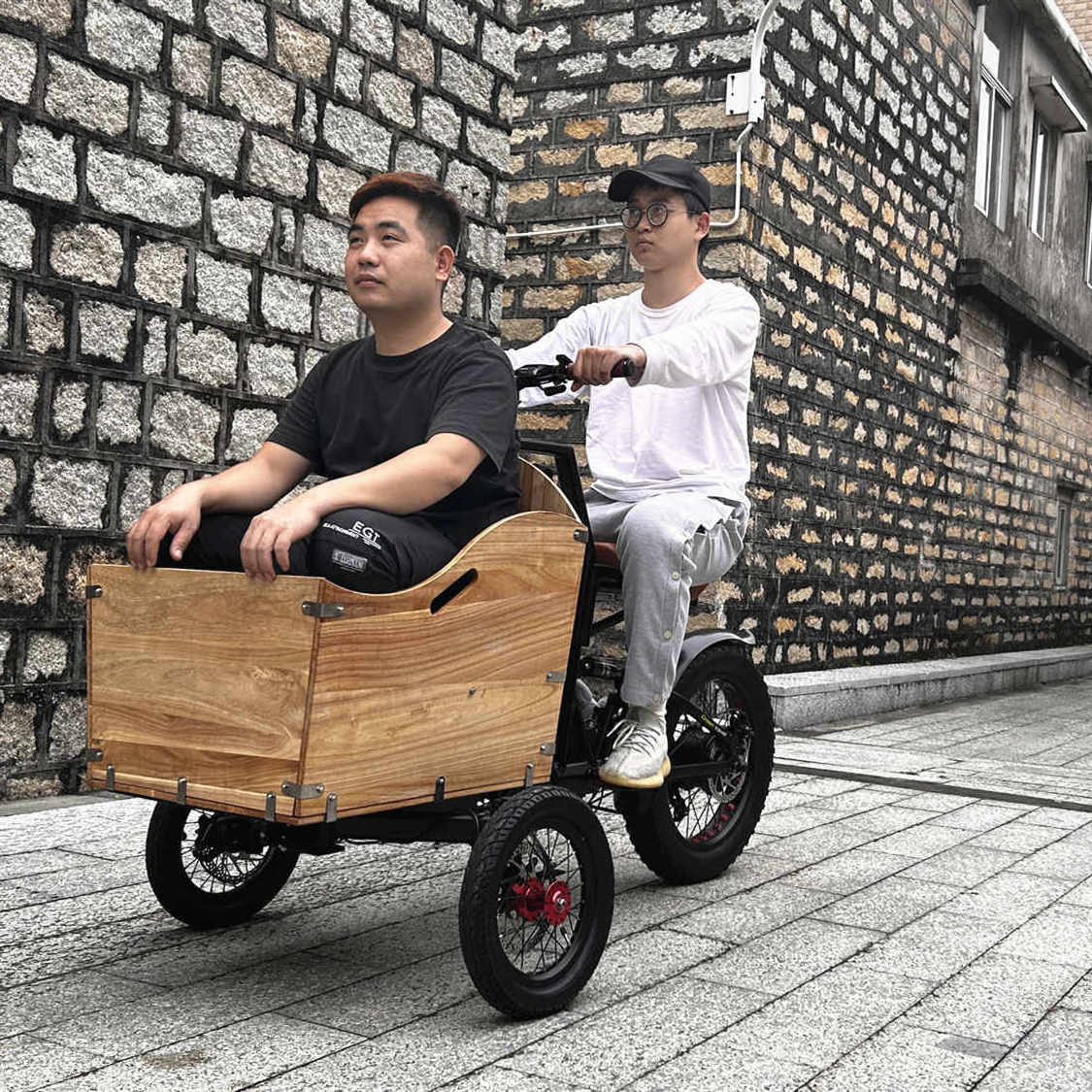 best selling long tail cargo bike electric cargo bike electric bicycle ebike e-cargo three wheeler recumbant/mini electric bike