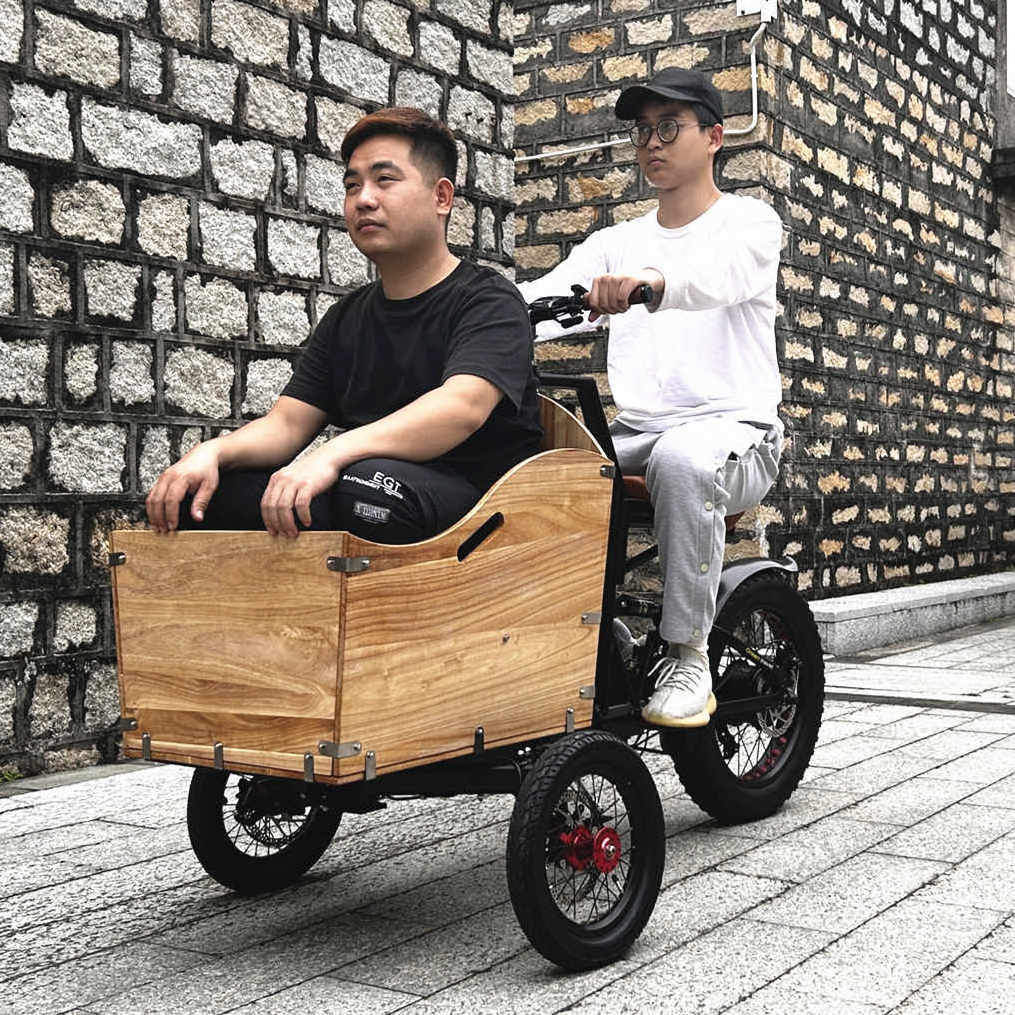 best selling long tail cargo bike electric cargo bike electric bicycle ebike e-cargo three wheeler recumbant/mini electric bike