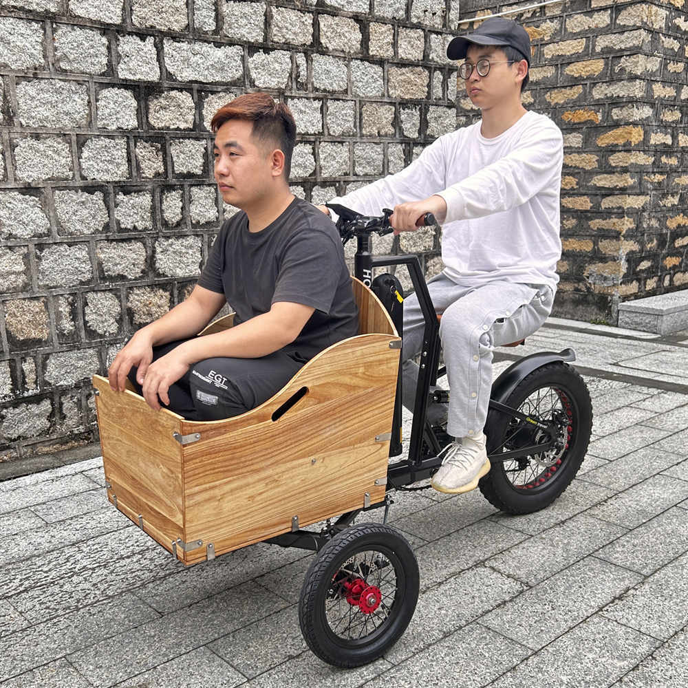 best selling long tail cargo bike electric cargo bike electric bicycle ebike e-cargo three wheeler recumbant/mini electric bike