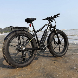 EU USA Stock Dropshipping Electric Bike 350w 500W 48V Fashion 26 Inch Adult Fat Tire E Bicycle Fatbike Mountain Electric Bike