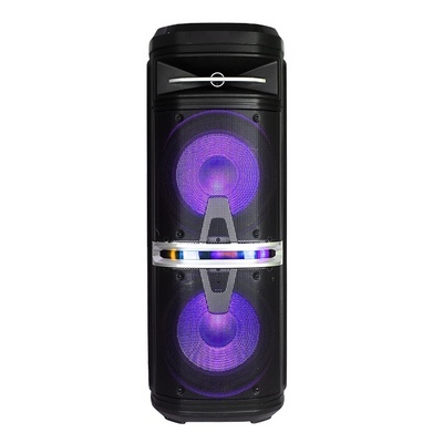 Empty Floor Standing Speaker Boxes