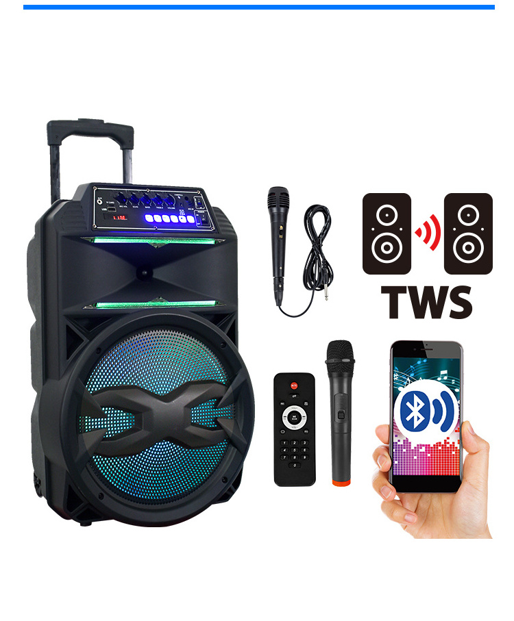 Wholesale speakers 15 Inch Trolley Speaker Portable Super Bass Echo Active Partybox Private Model DJ Music system