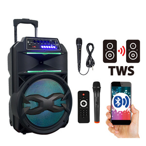 Wholesale speakers 15 Inch Trolley Speaker Portable Super Bass Echo Active Partybox Private Model DJ Music system