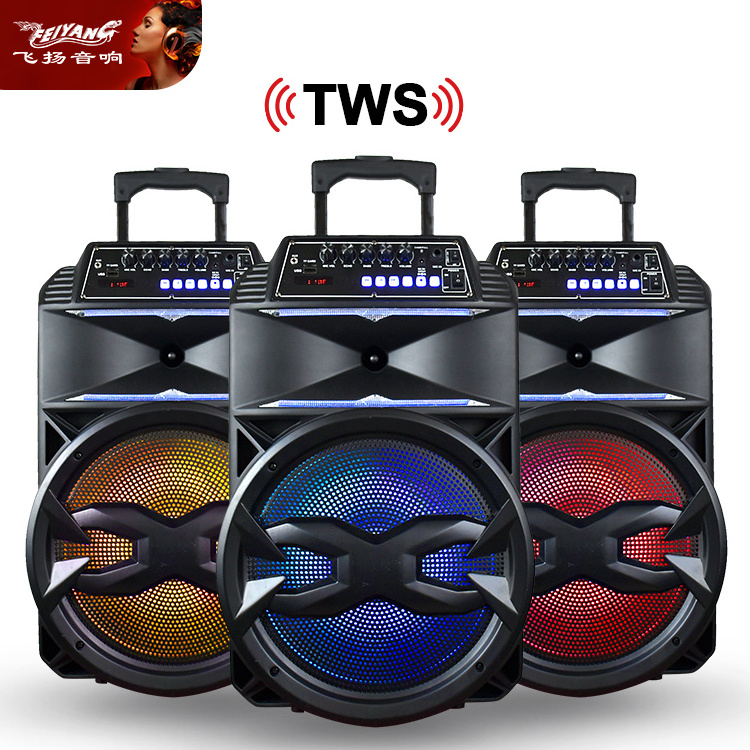 Wholesale speakers 15 Inch Trolley Speaker Portable Super Bass Echo Active Partybox Private Model DJ Music system