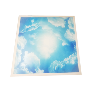 Skylight blue sky clouds recessed 600x600mm decorative led ceiling panel light,decorative plate led panel