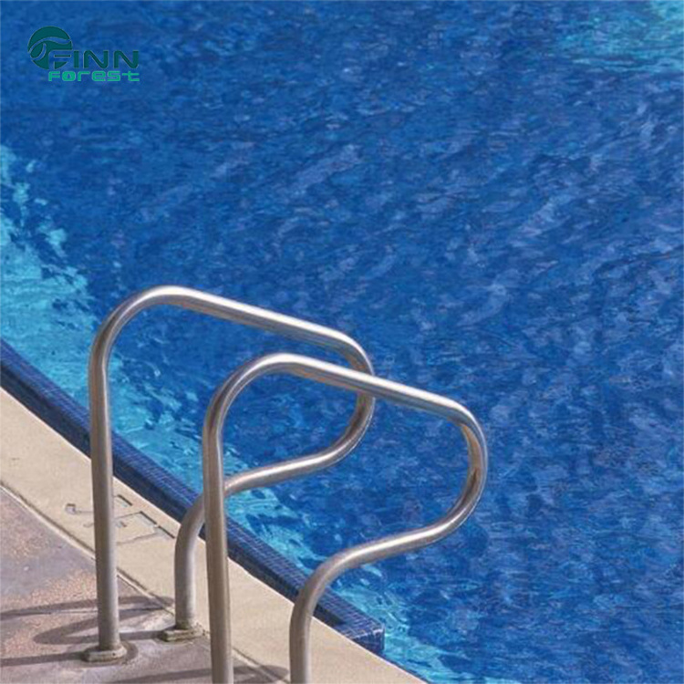 Stainless Steel Removable Swimming Pool Handrail