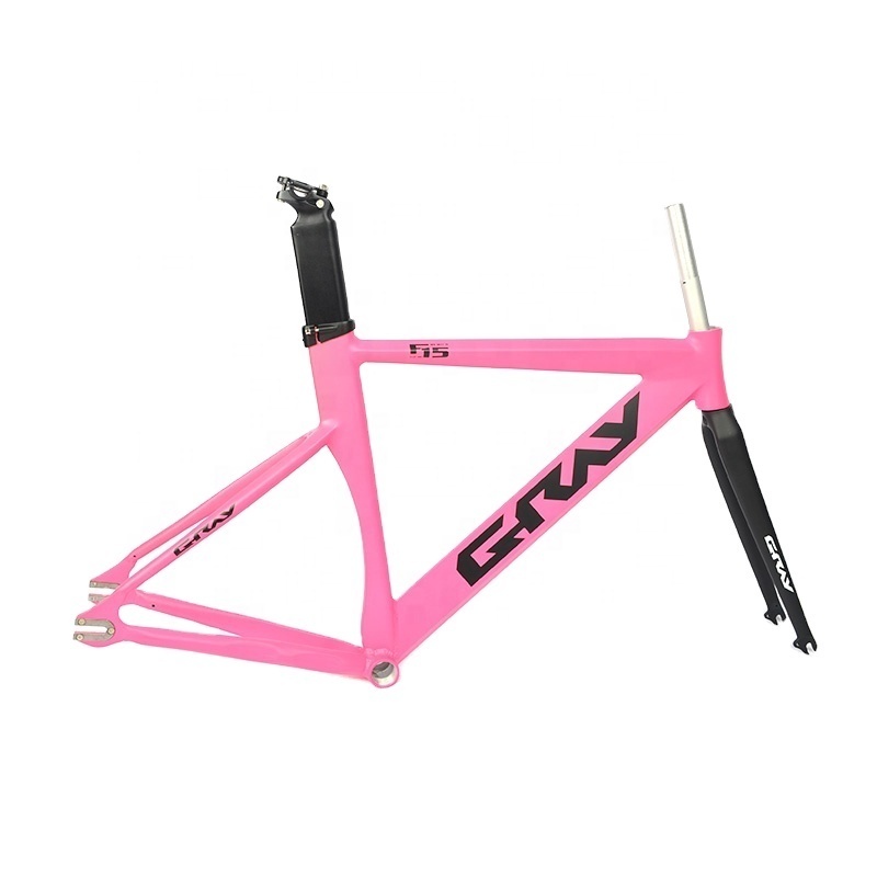 Manufacturer Supply High Quality 700C Single Speed Carbon Fork 52CM Aluminum Alloy Fixie Bike Frame