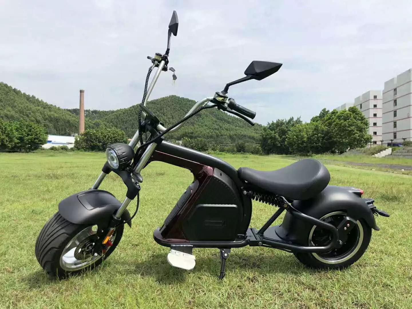 2020 New Design Chinese Factory Cheap EEC COC Citycoco Electric Scooter