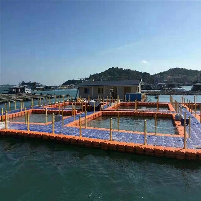 Modern sea houseboat pontoon platform modular floating dock with wood