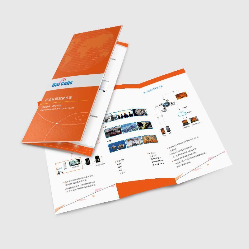 Wholesale Customized Color Printing Cheap Business Folded Paper Brochure Flyer