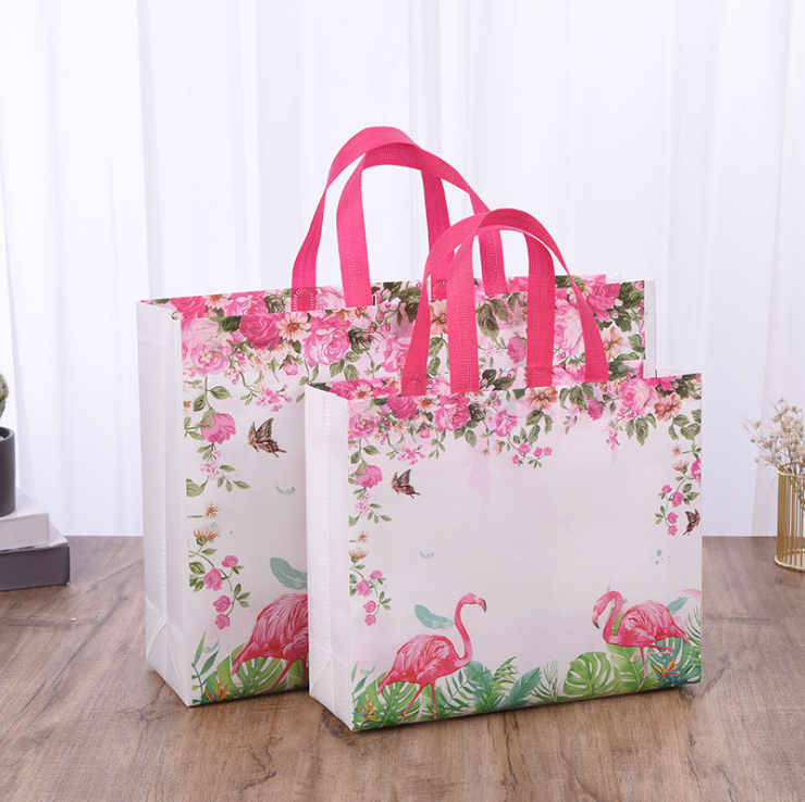 Cheap Custom PP Shopping Non Woven Bags Tote Bag Woven with Custom Design