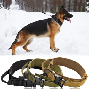 Thick Heavy Duty Weighted Tactical Big Nylon Dog Collar Training Collars Wholesale In Bulk Custom Logo For Sale Dog Collar