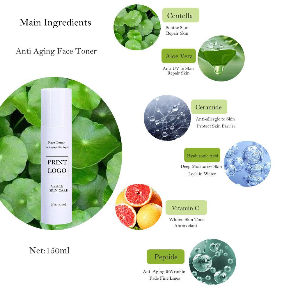 Custom High Grade Organic Anti Aging Face Skin Care Set Retinol Peptides Private Label Anti Wrinkle Face Toner & Serum Eye Cream