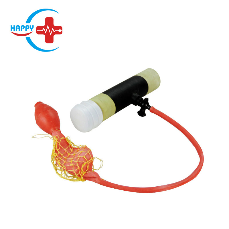 # HC-R048 Animal Sperm Collector Collecting Machine Animal Electro-ejaculator Equipment For Pig