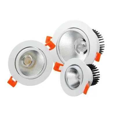 0-10V Dali Dimmable Adjust Ceiling Spotlight 3W 5W 10W 15W 20W 30W 40W Recessed COB LED Downlight