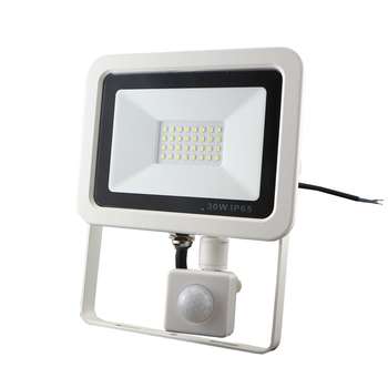 IP65 Outdoor Security Flood Light Projector 300W 200W 50W 100W Motion Sensor LED Flood Light