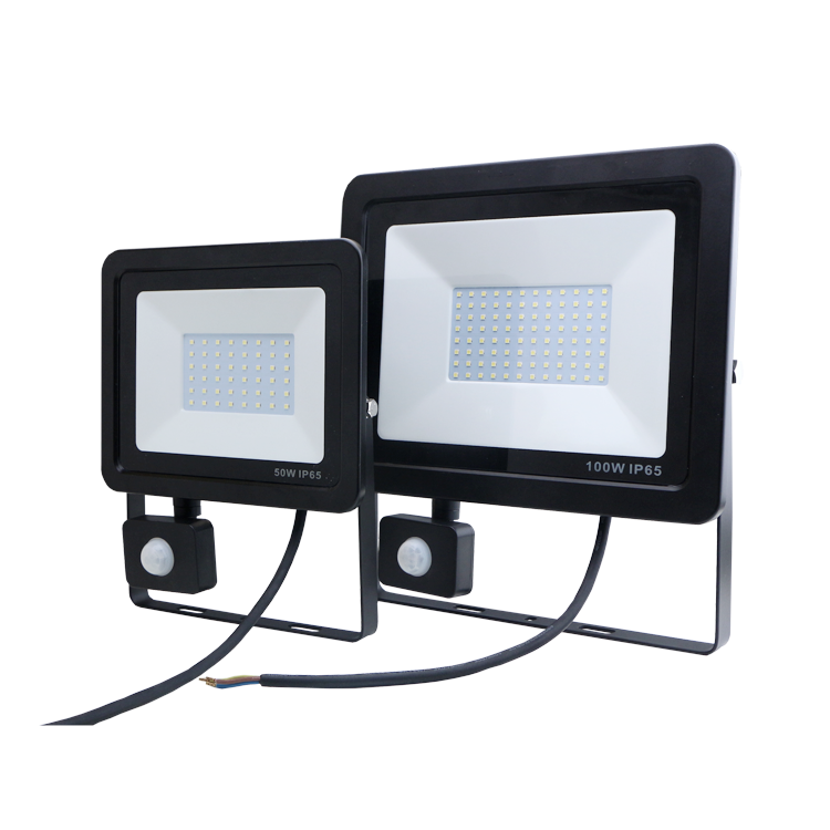 IP65 Outdoor Security Flood Light Projector 300W 200W 50W 100W Motion Sensor LED Flood Light