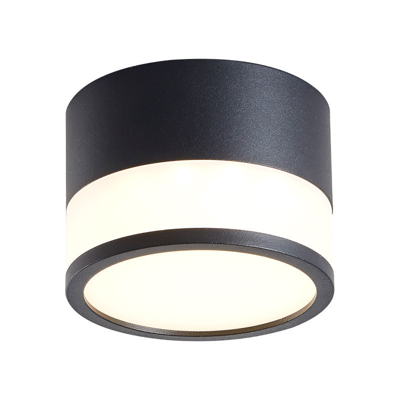 High Brightness Ceiling Lamp For Corridor Living Room Bedroom Led Round Mounted Light Decor LED Downlilght