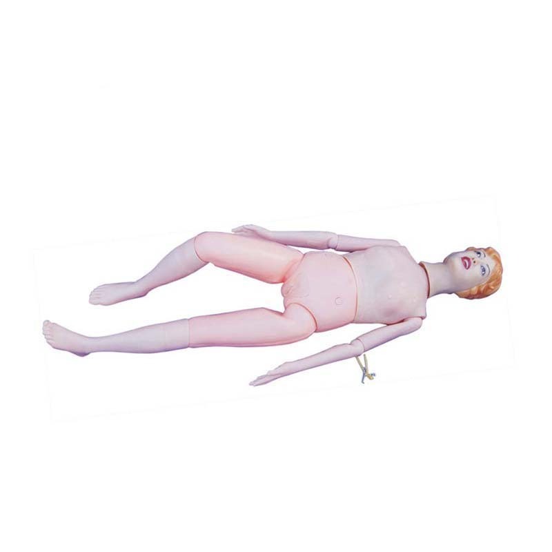 IN-401 Male or Female Advanced Nurse Training Doll with Blood Pressure Training Arm Model