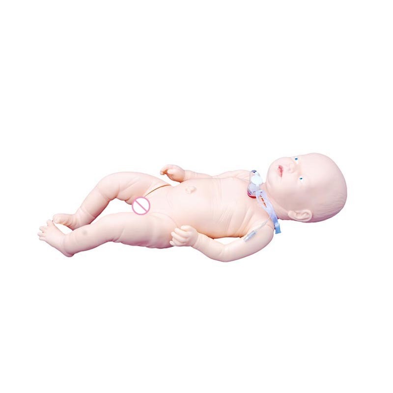 IN-401 Male or Female Advanced Nurse Training Doll with Blood Pressure Training Arm Model