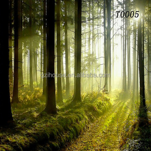 beautiful nature forest trees scenery home cheap pvc wall murals