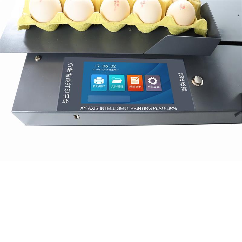 INCODE Automatic Print Date Coding Printing Machine Stamping Expiry Code Head Egg Ink Jet Inkjet Printer