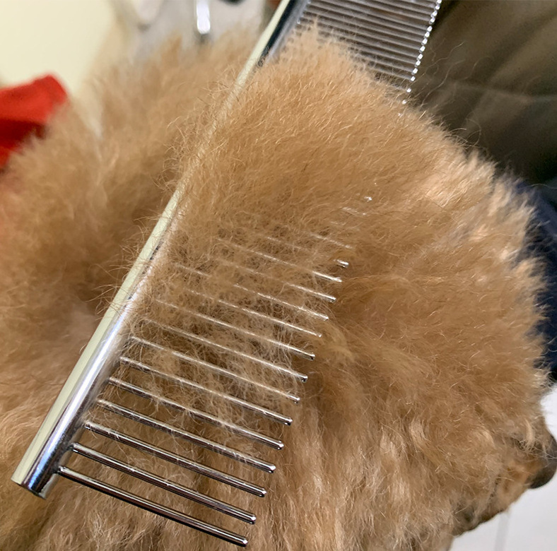 Pet Products 2024 Pet Cleaning Hair Removal Comb Round Stainless Steel Cat Dog Comb for Animals Long and Short Hair