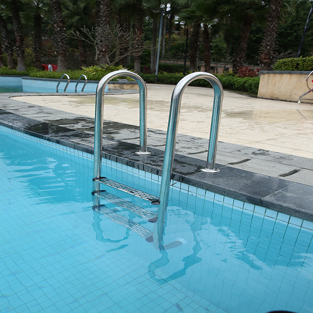 Portable Stainless Steel 2 3 4 5 Step Removable Ground Stairs with Handrail for Swimming Pool Pool Ladder