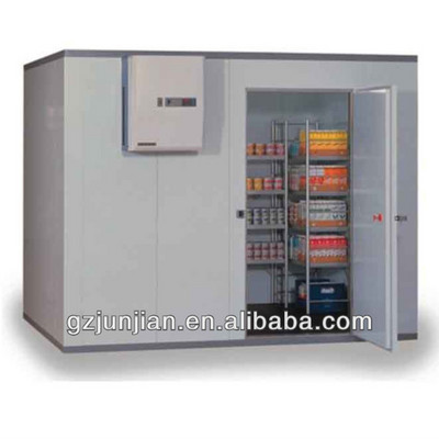 storage cold room/Cold rooms for meat,fish,vegetable,fruit