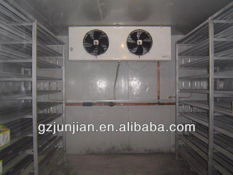 storage cold room/Cold rooms for meat,fish,vegetable,fruit