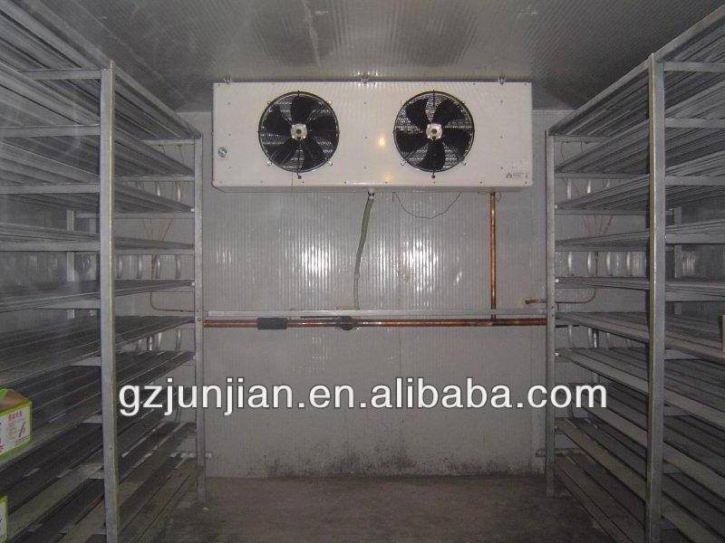 for vegetable fruit and food storage cold room for sale