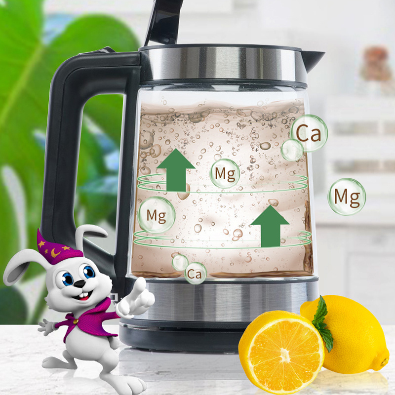 Household Electric Kettle Descaler Citric Acid Descaling Agent Water Heater Water Dispenser Limescale Remover Cleaner